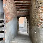 Il Nido Di Tiffany * Massino Visconti